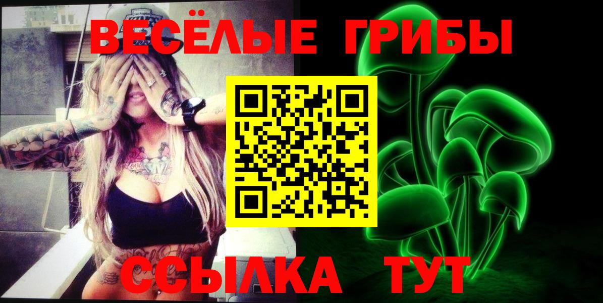 Псилоцибиновые грибы мицелий Дивногорск