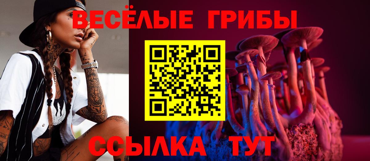 Галлюциногенные грибы Magic Shrooms  Вход с VPN  Дивногорск 